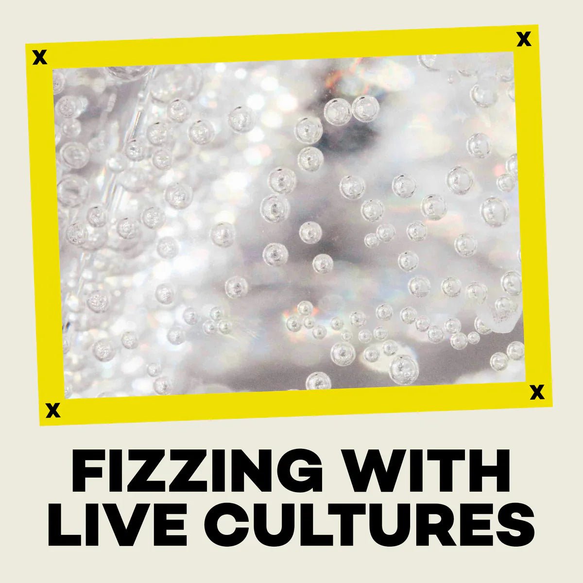 Hip Pop Ginger Yuzu Kombucha - Cafe Supply