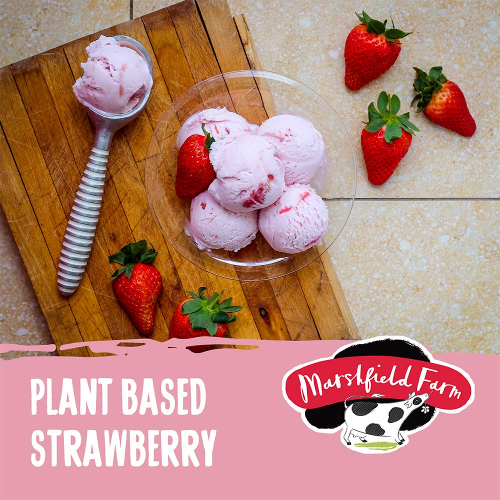 MARSHFIELD Plant Based Strawberry Ice Cream - Cafe Supply