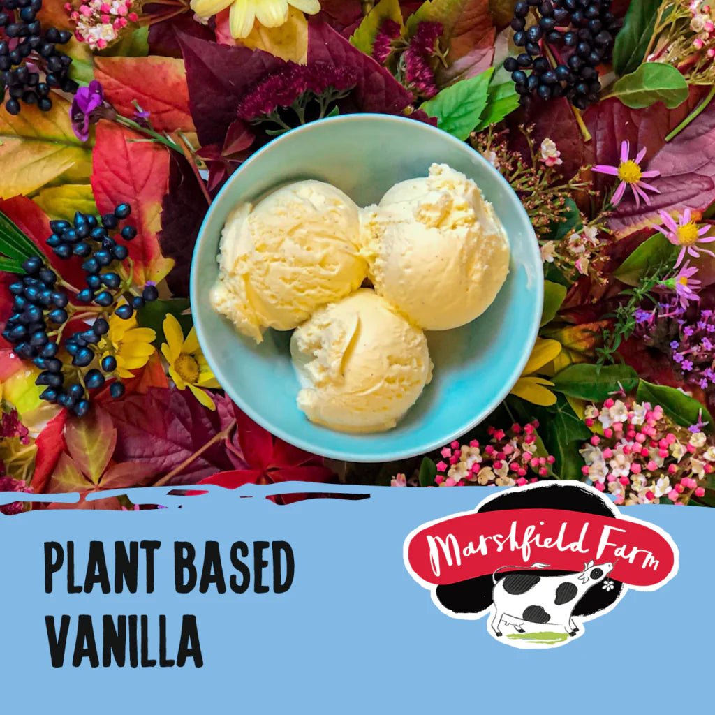 MARSHFIELD Plant Based Vanilla Ice Cream - Cafe Supply