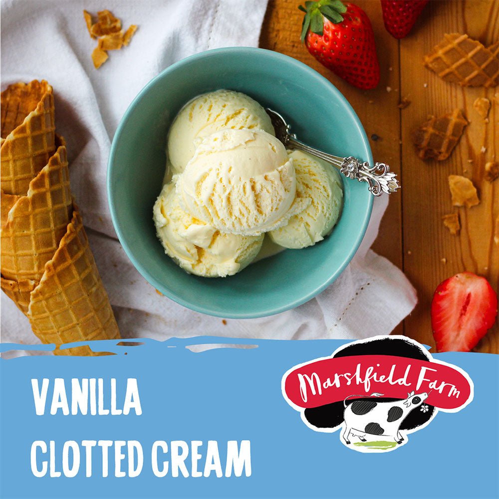 MARSHFIELD Vanilla Clotted Cream Ice Cream - Cafe Supply