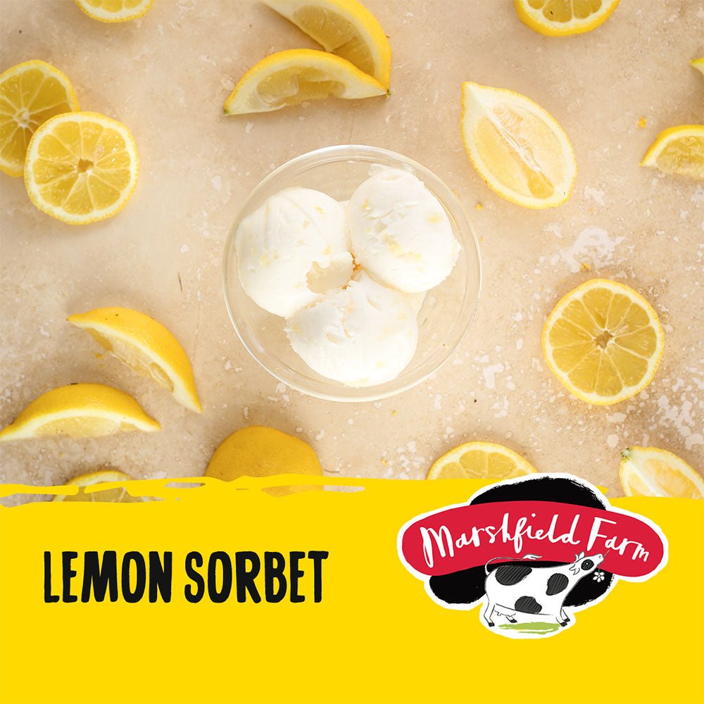 MARSHFIELD Vegan Lemon Sorbet - Cafe Supply