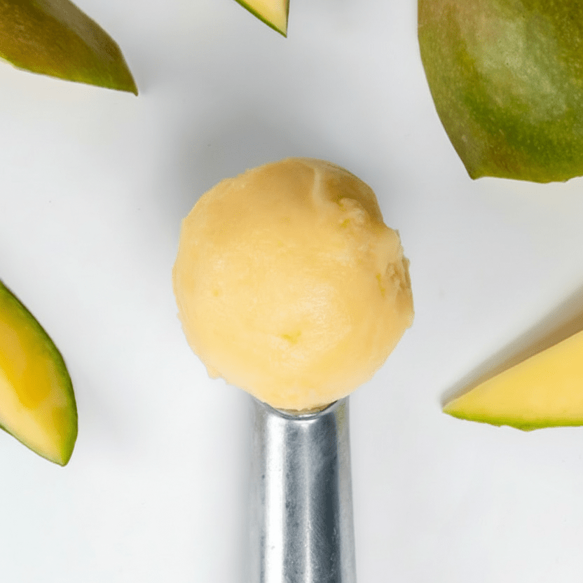 MARSHFIELD Vegan Mango Sorbet - Cafe Supply