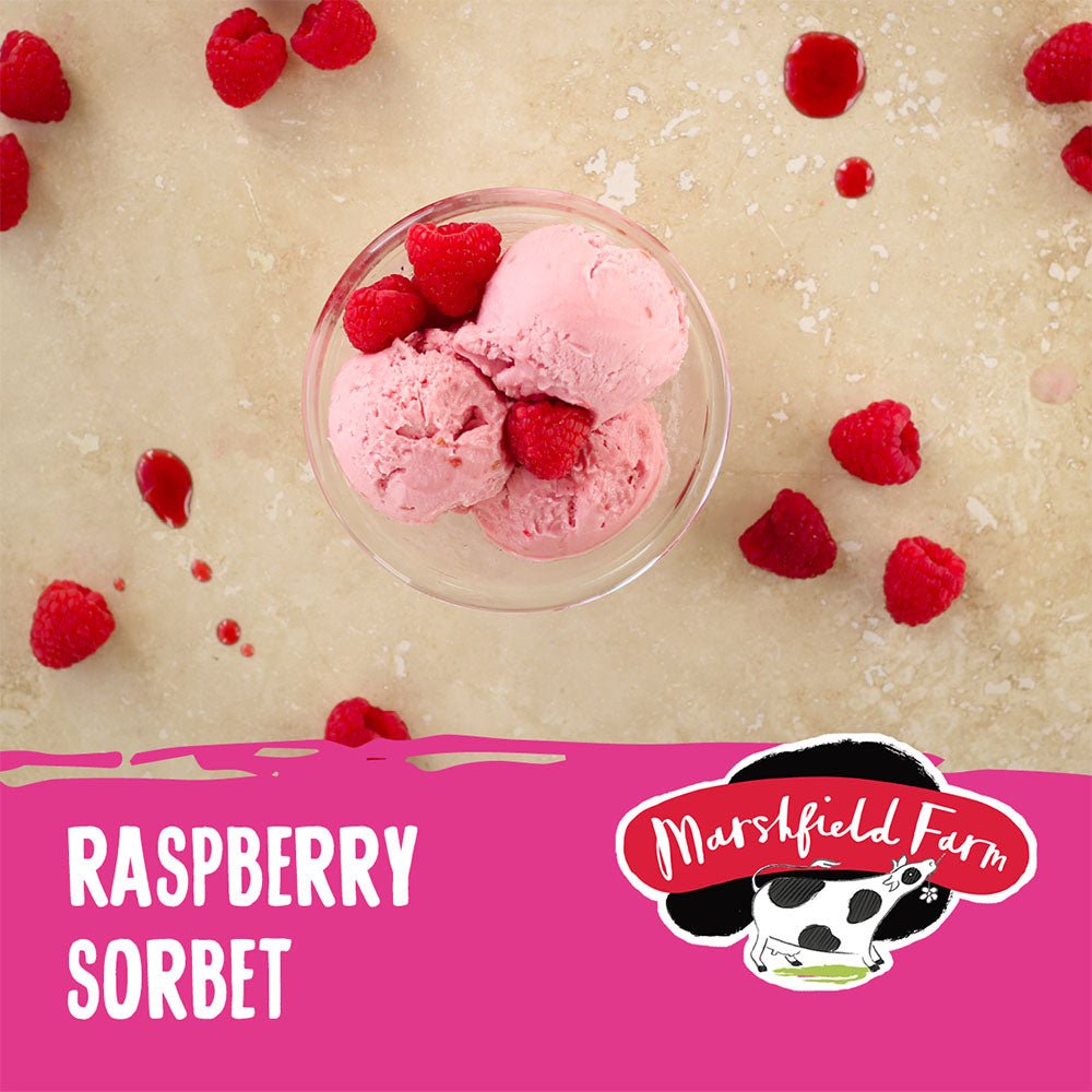 MARSHFIELD Vegan Raspberry Sorbet - Cafe Supply